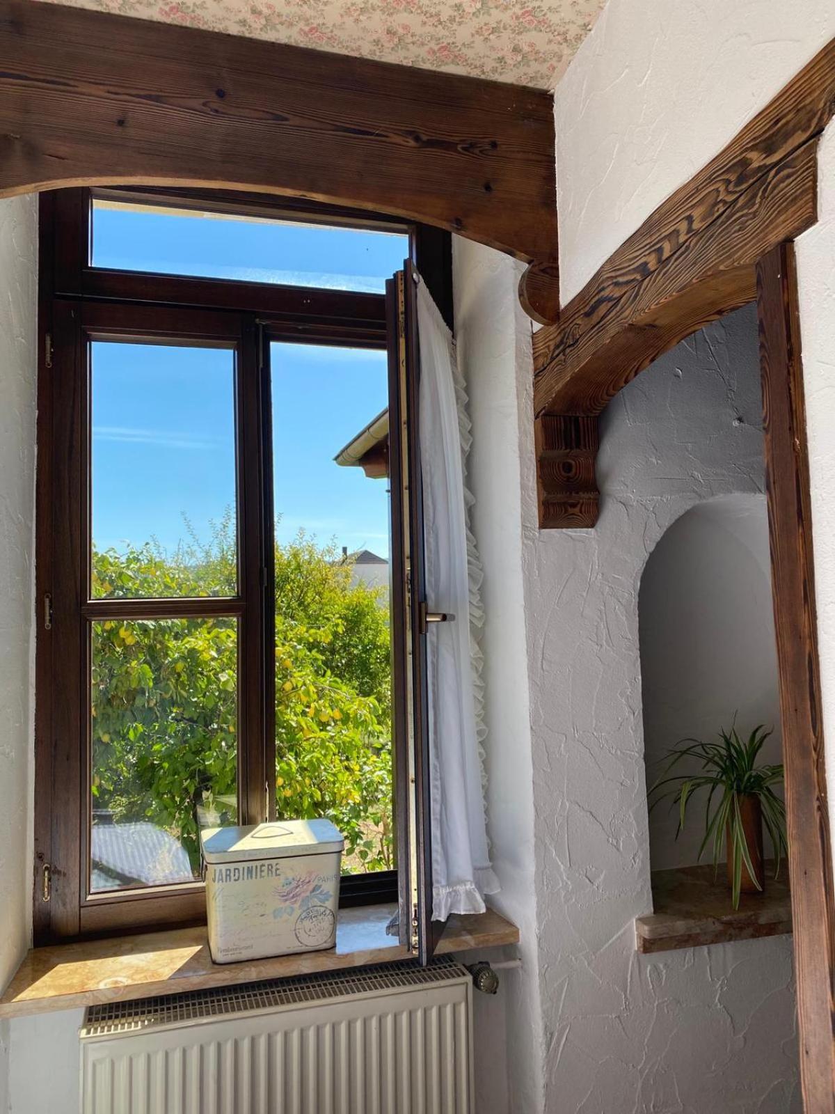 Apartmenthaus Eurenerstrasse 179 Τρίερ Εξωτερικό φωτογραφία